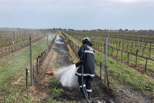 Flurbrand nach Weingartenberäucherung